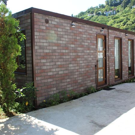 Modular House Green Zyland Y Batumi Kültér fotó