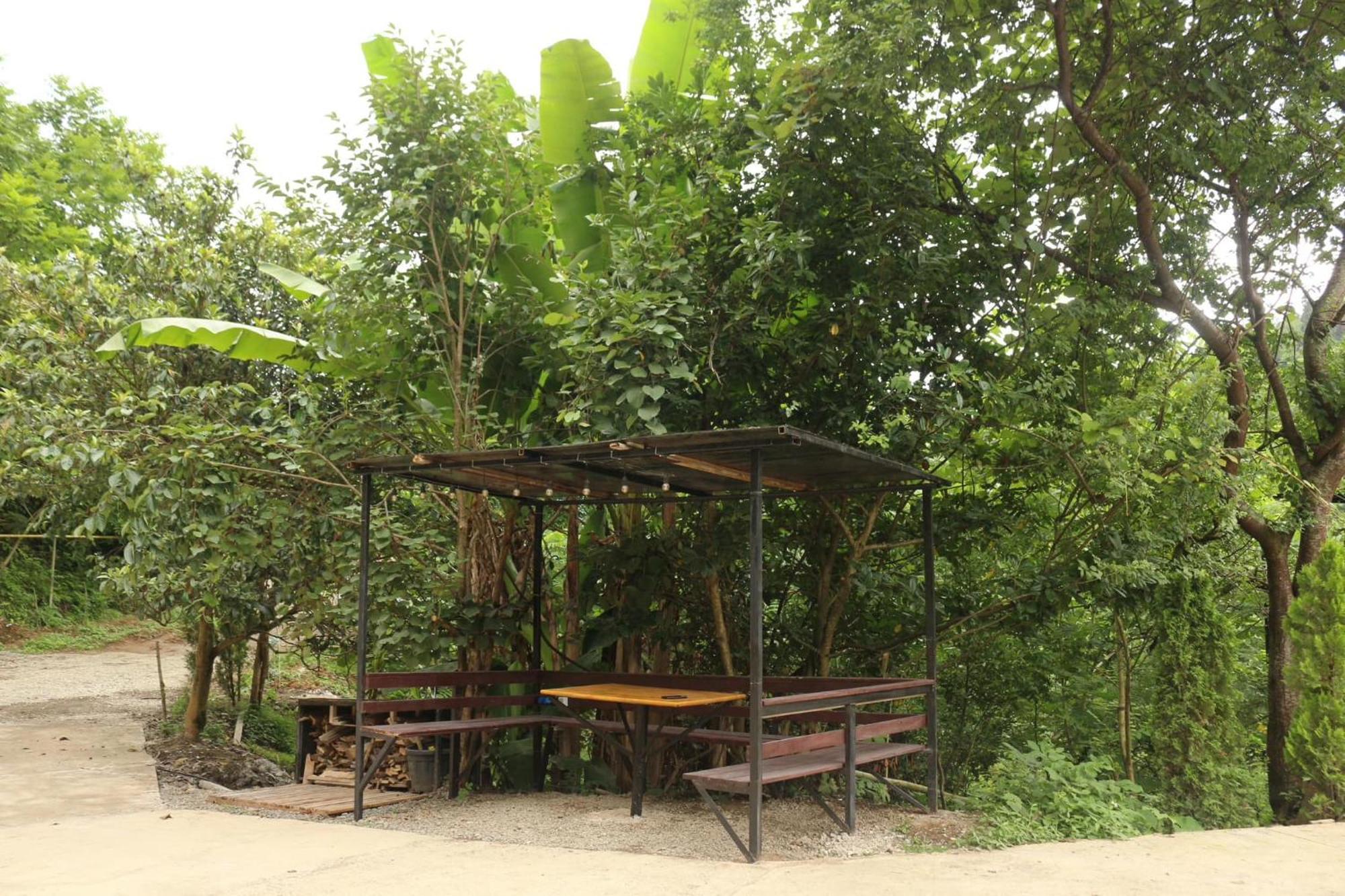Modular House Green Zyland Y Batumi Kültér fotó